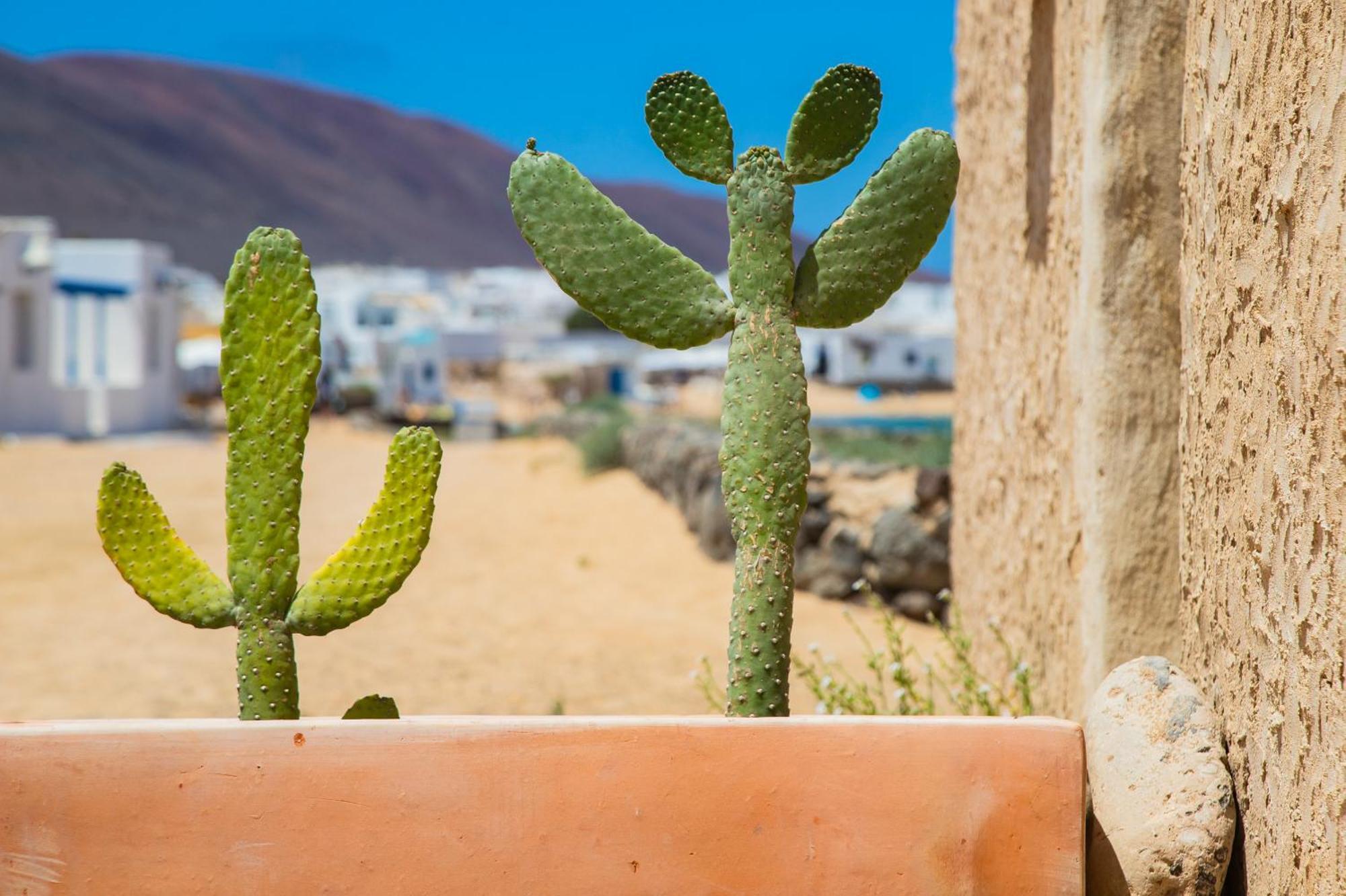 Eslanzarote La Duna House, wifi Caleta de Sebo Exterior foto